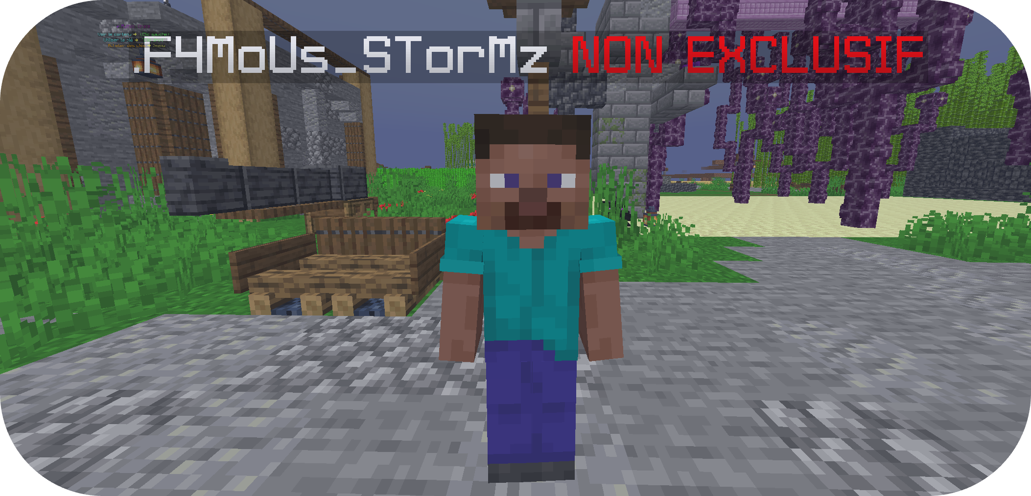 Custom Tags NON Exclusif